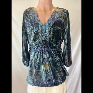 Elegant Whimisical V-Neck Velvet Blouse in Rich Colors Garden Cottage Fairy